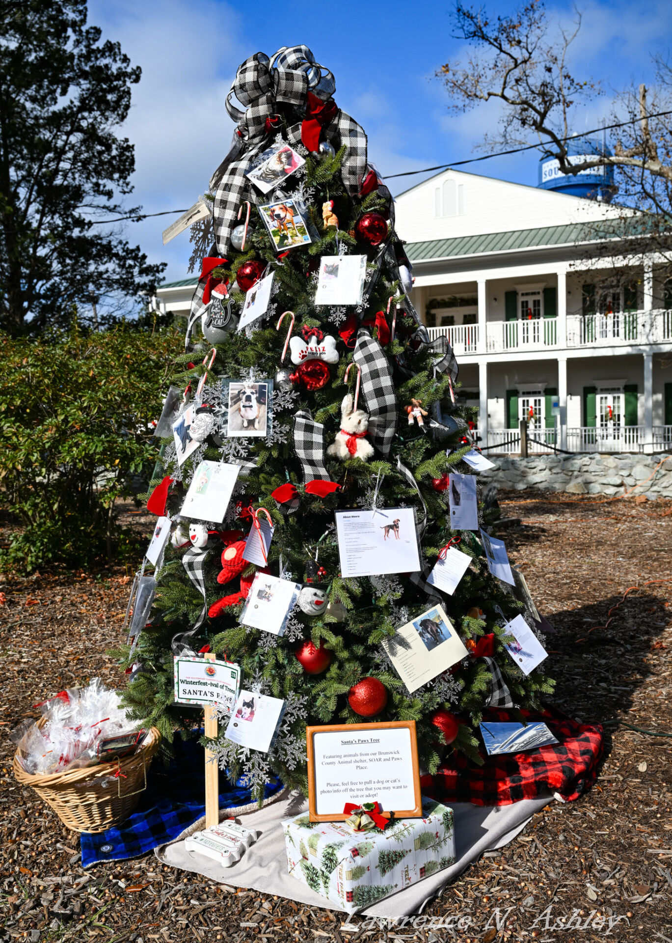 2 Festival of Trees Brunswick Animal Shelter Day 20251209
